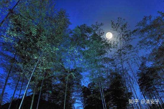 有没有一首诗既有竹子又有月亮