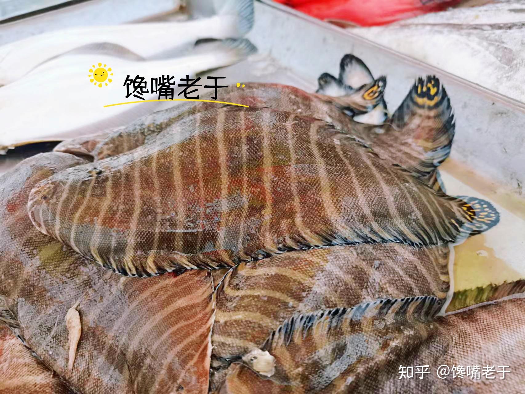 大雪前后,遇到“此鱼”别手软,一次囤10斤冰箱,12一斤特鲜美 - 知乎