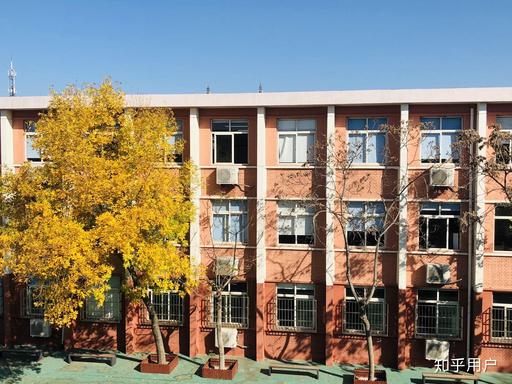 在塘沽十三中就读是一种怎样的体验