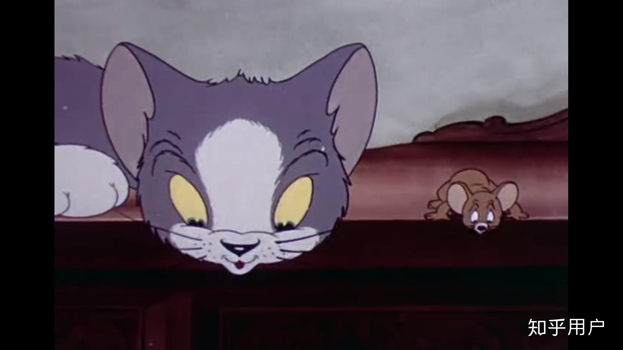 《猫和老鼠》(tom and jerry)中的 tom 猫是什么品种? - 知乎