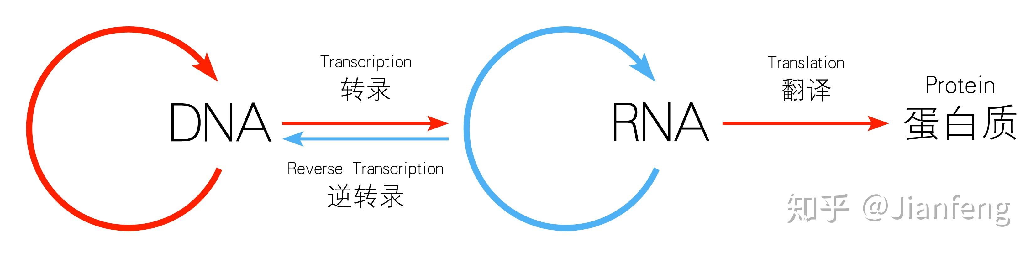 Dna微阵列（基因芯片）简介 知乎