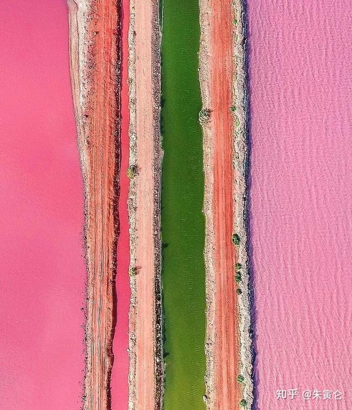 赫特泻湖hutt lagoon pink lake