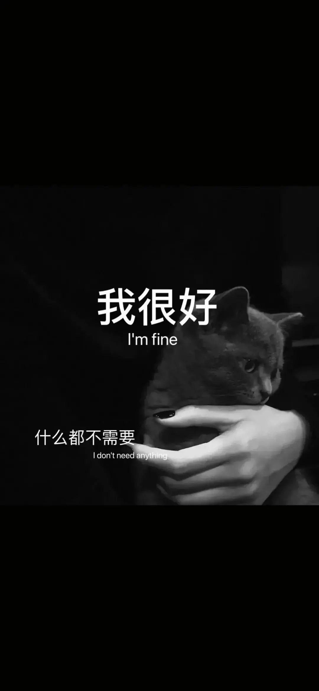 5人赞同了该文章 67 目录 收起 152张好看的壁纸 我不知道我选的