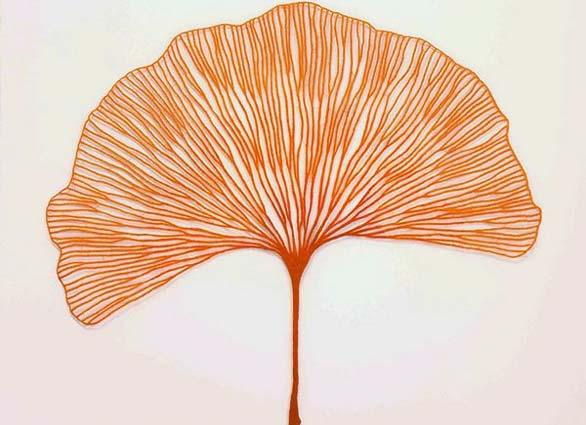 书法入门第一课画叶脉