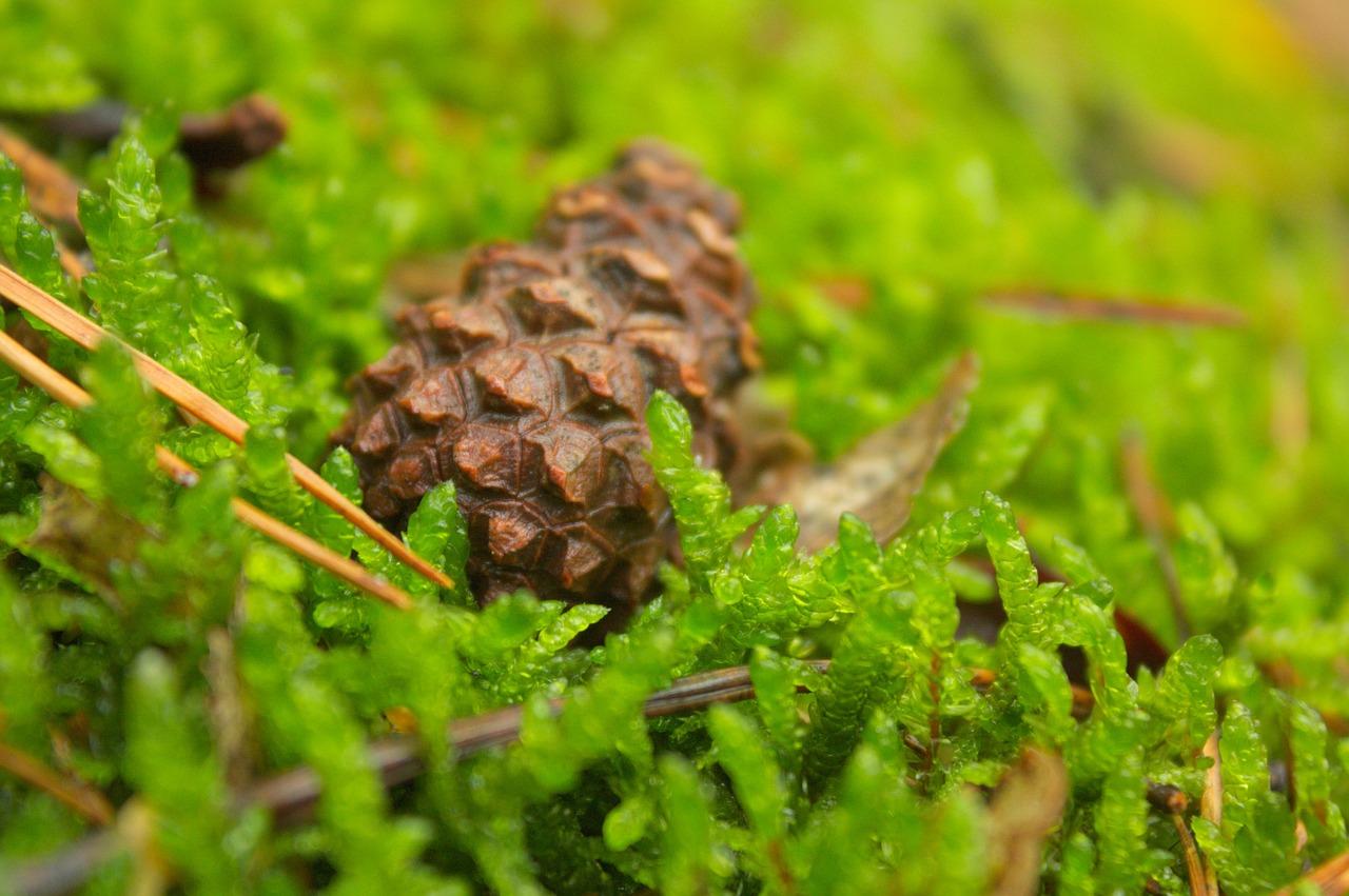 3. 生态家居首选