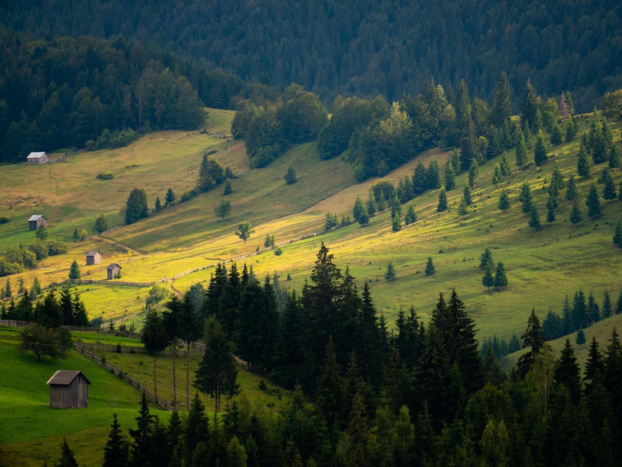 临沂兰山区适合种植什么