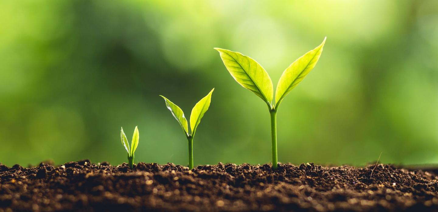 从企业增长思维看个人成长模式 知乎