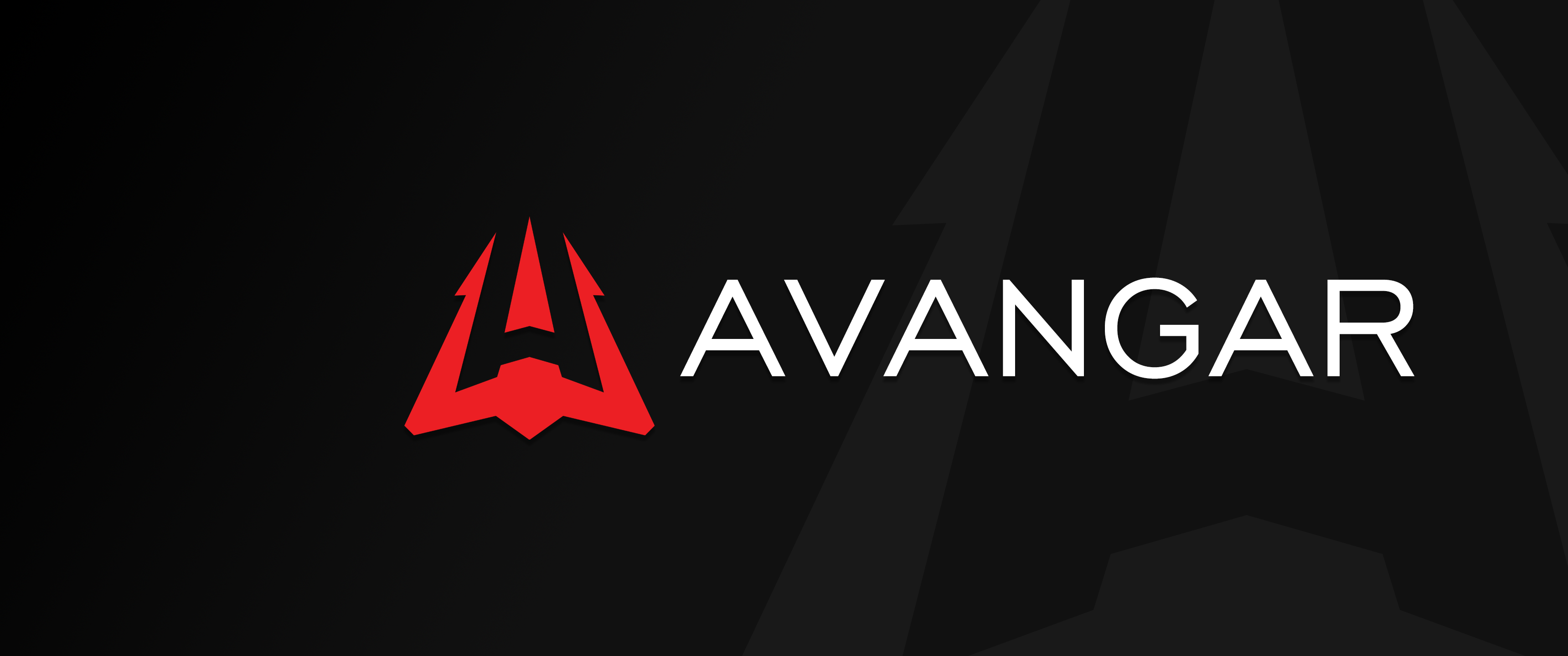 今天分享一张反恐精英avangar战队的简约黑高清壁纸