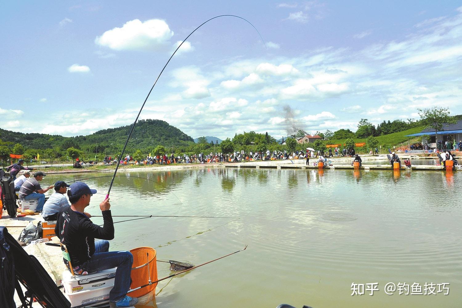 在黑坑钓鲤鱼，如何看漂？如何抓口？黑坑钓鲤鱼的看漂抓口技巧 知乎 0321