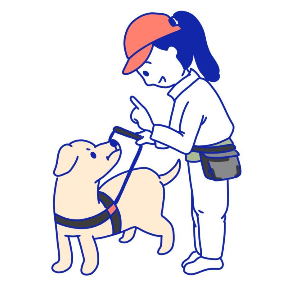 全世界导盲犬数量并不多为何最近突然有很多人关注