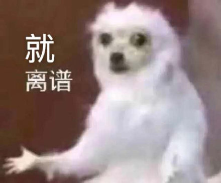 给红包文案沙雕,给红包文案沙雕搞笑