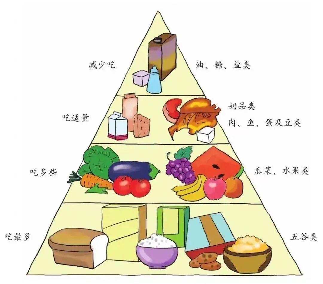 健康饮食金字塔幼儿园展板图片素材-编号13908223-图行天下