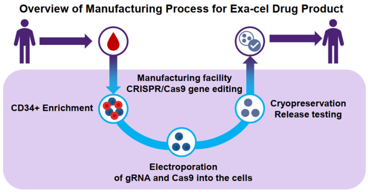 全球首款crisprcas9基因编辑疗法获批上市rnp技术体系基因编辑药物的