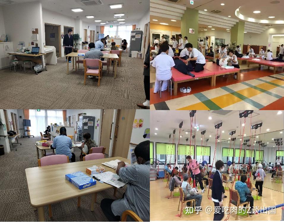 日本介护是什么？最全指南来啦 知乎