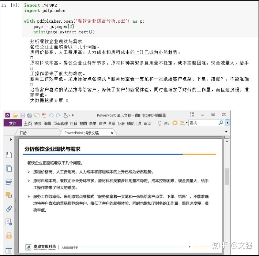 Python pypdf2 pdfplumber pdf 