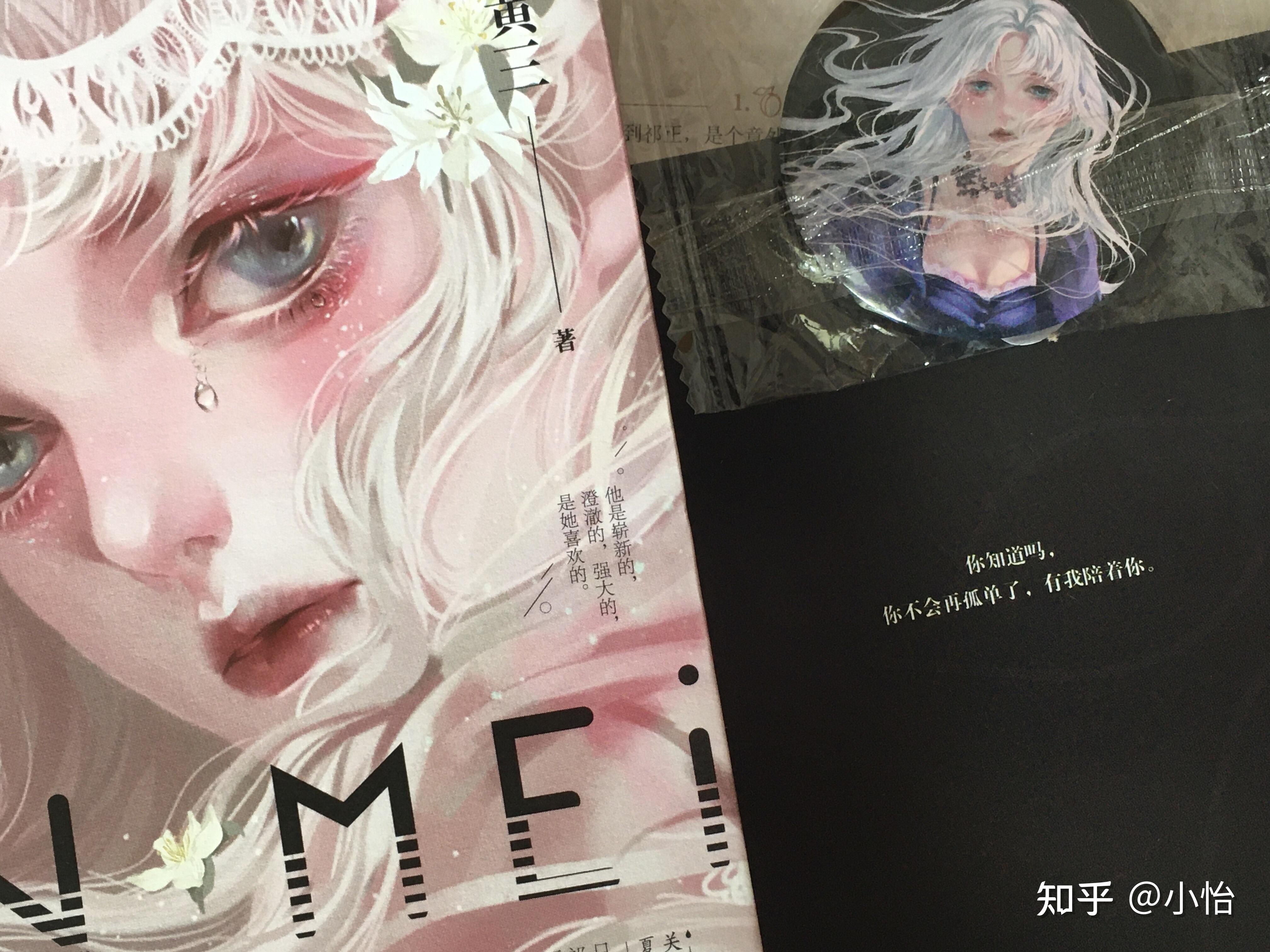 酸梅这部小说好看吗