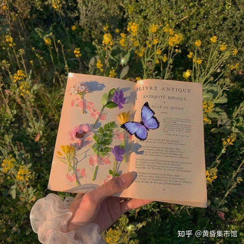 文案|超级温柔的情书文案 - 知乎