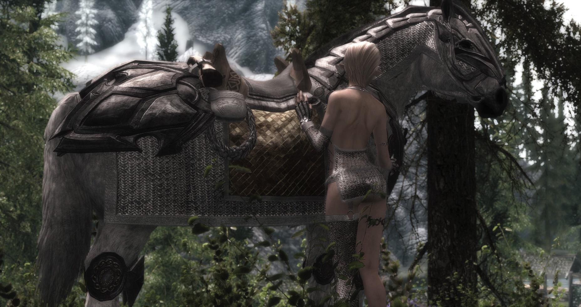 上古卷轴5有哪些比较有意思的mod