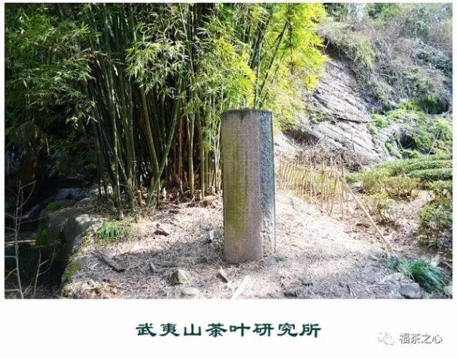 中国第一个茶叶科学研究所——武夷山茶科所 - 知乎