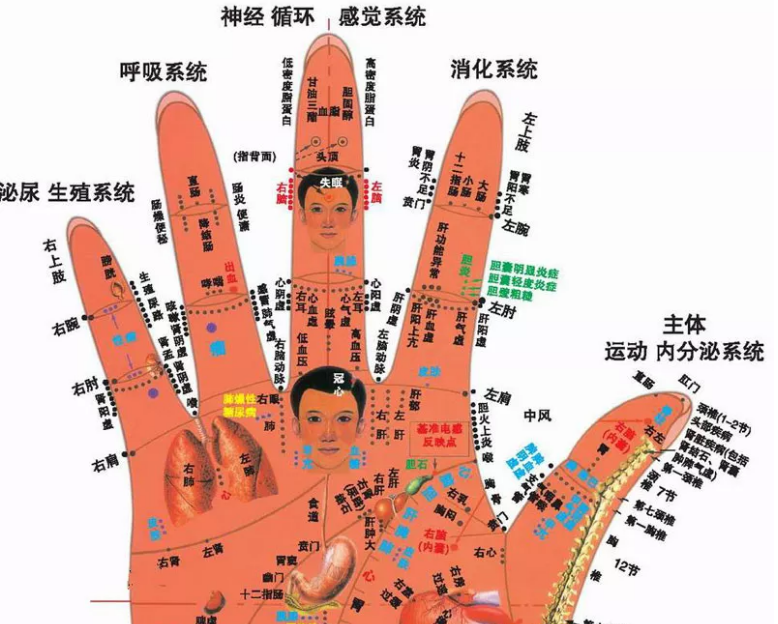 老中医一绝:每天揉搓手指甲,30天后有奇效