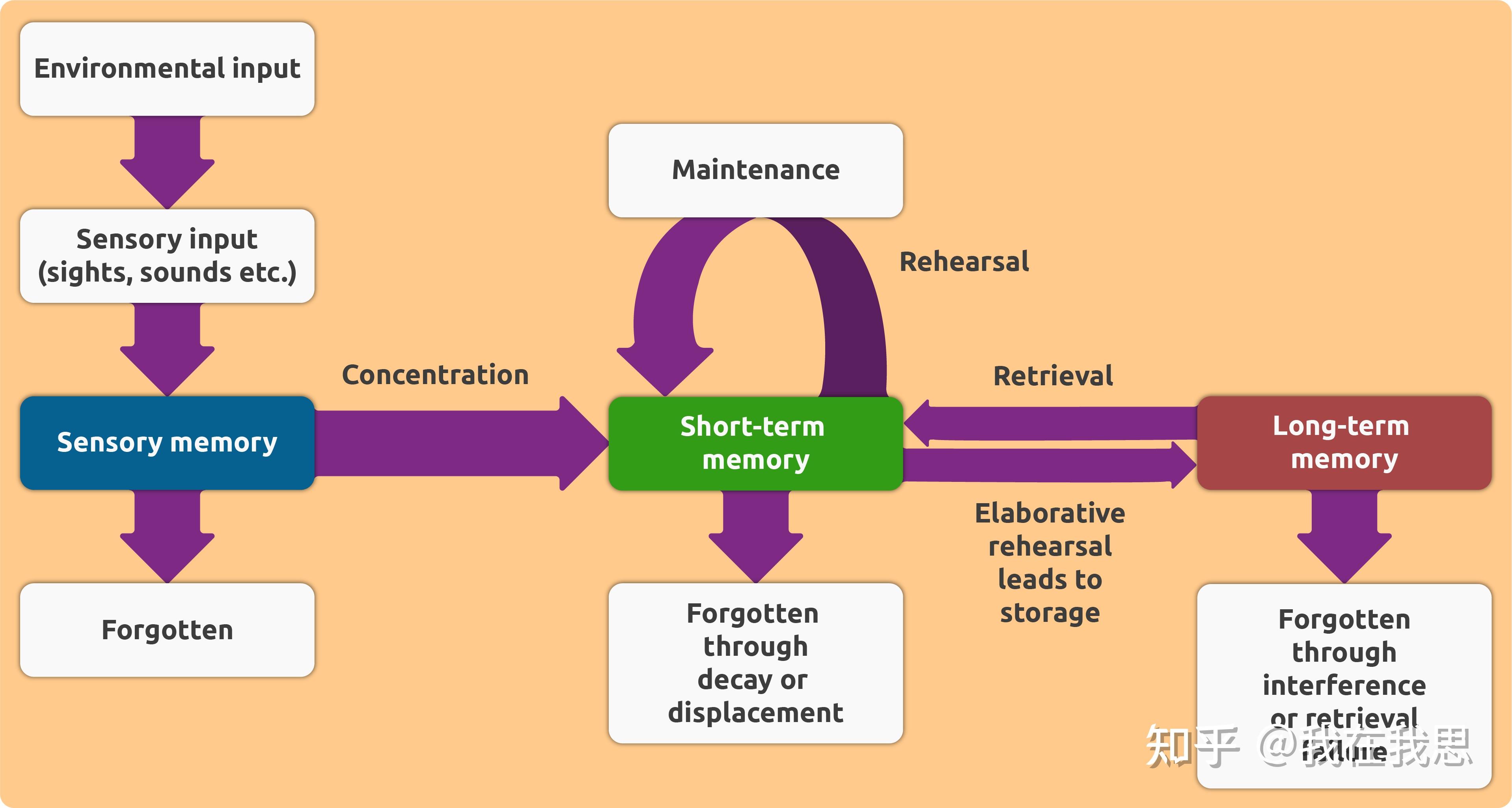 memory-ppt