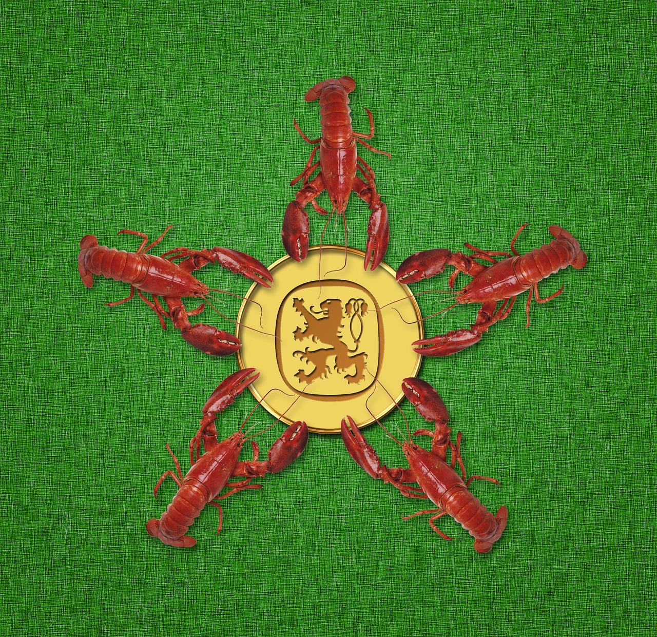 地热地板如何铺设