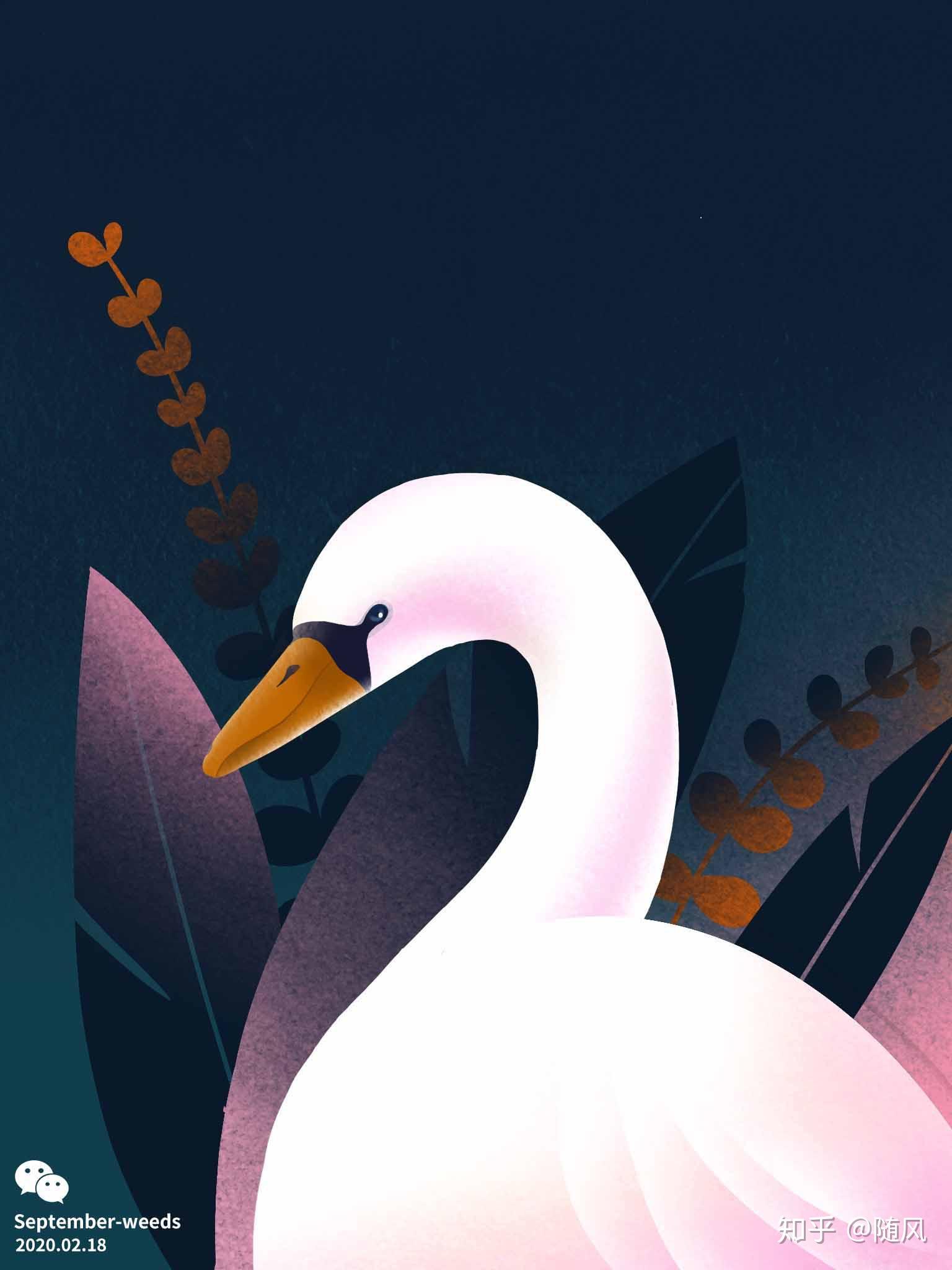 galshir插画师8款笔刷分享ipadprocreate绘画