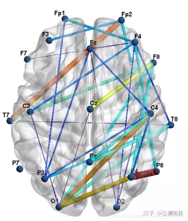 如何利用BrainNet Viewer工具包实现EEG功能连接的可视化？ - 知乎