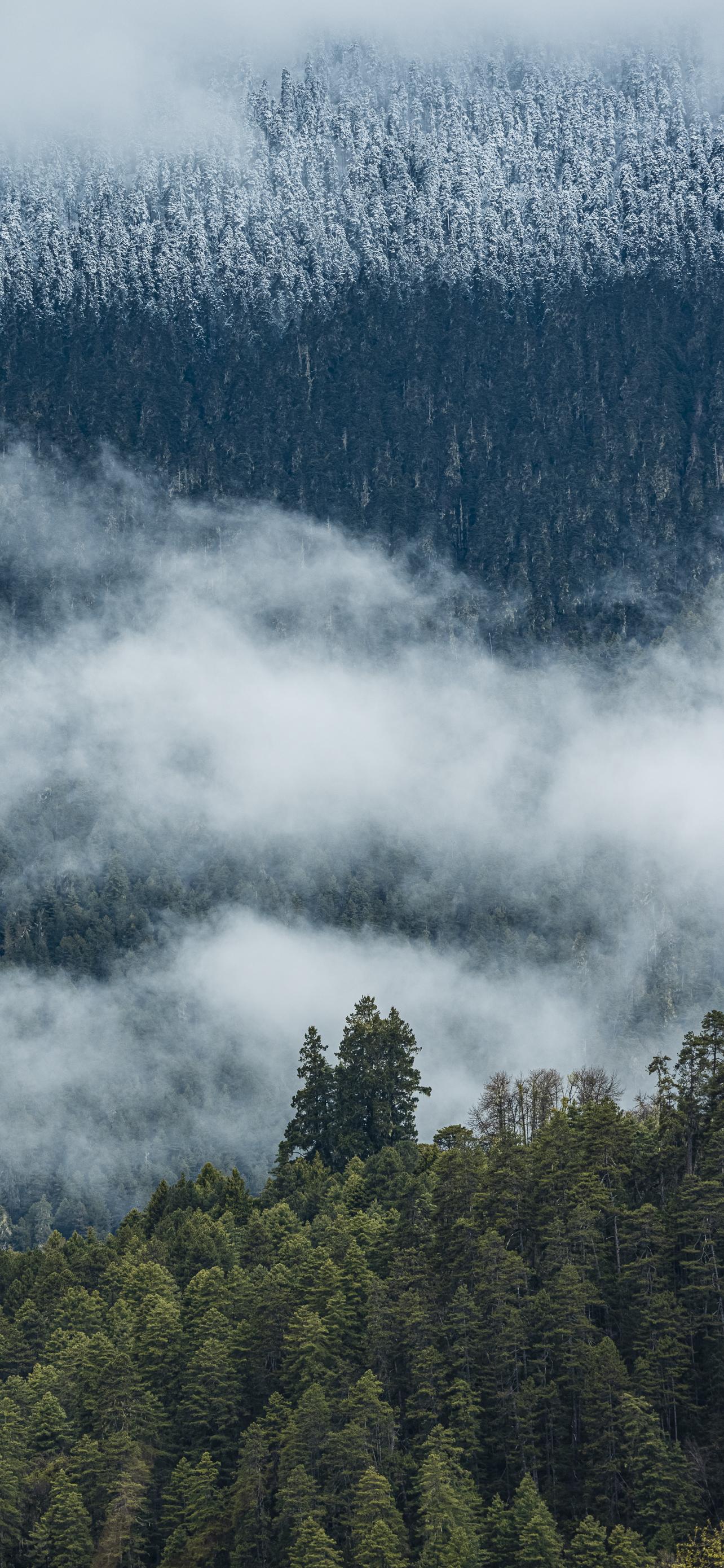 1284_2778竖版 竖屏