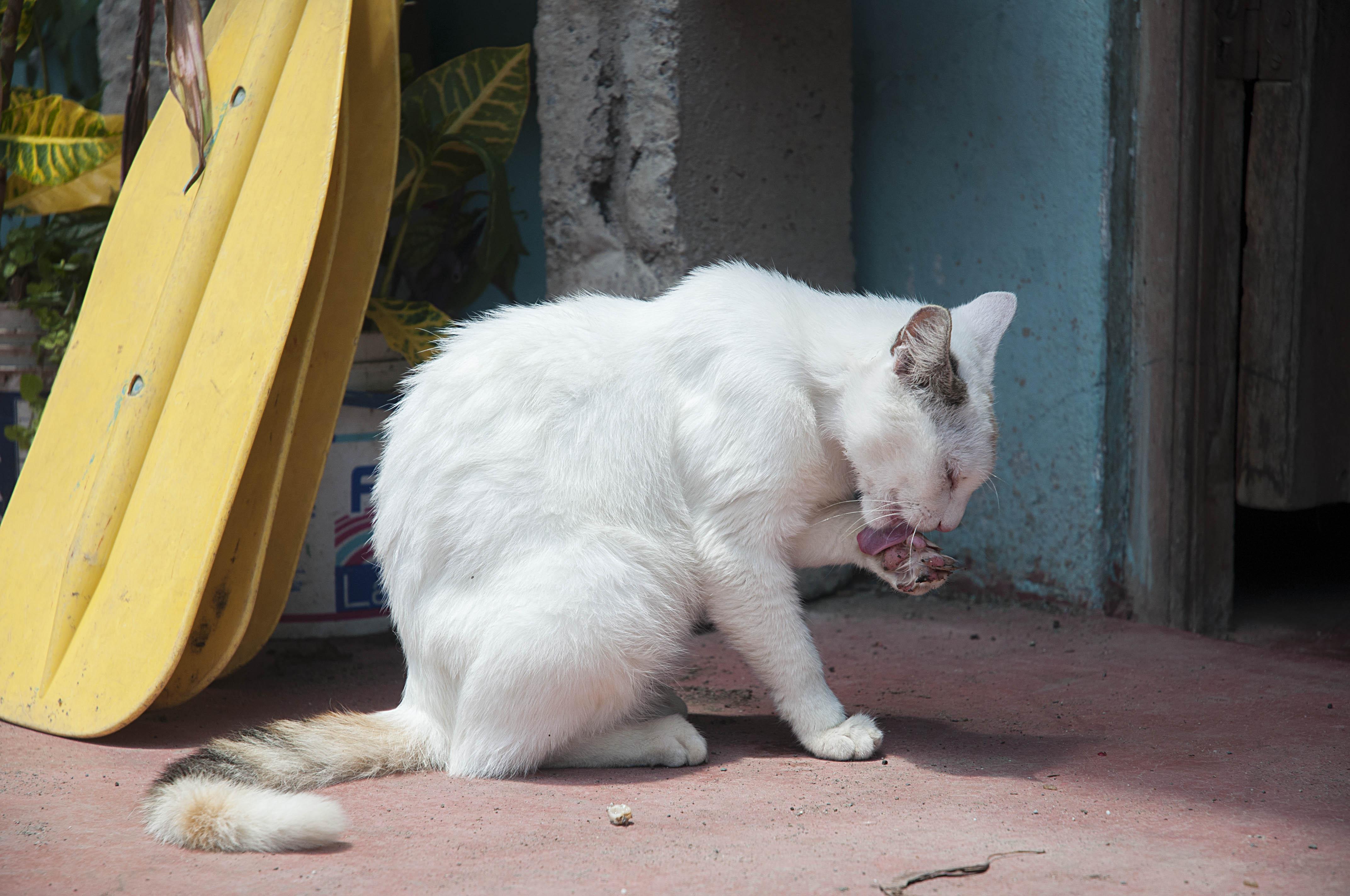 纯小白该如何学好摄影