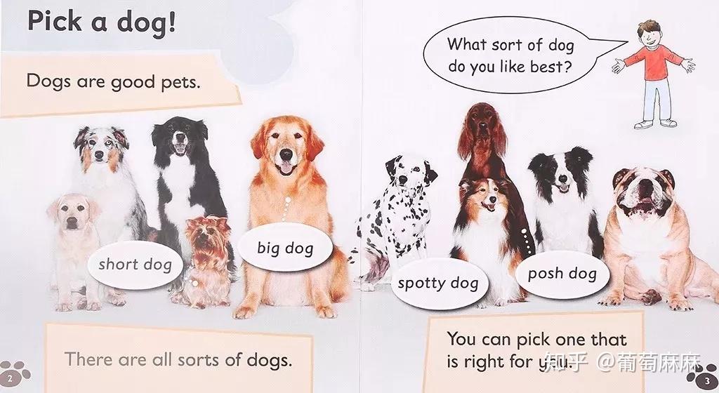 牛津树家庭版学校版全解析