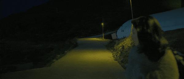 《赌金》全员恶人，这部新剧太敢拍！