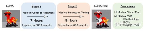 论文笔记1:LLaVA-Med: Training a Large Language-and-Vision Assistant for ...