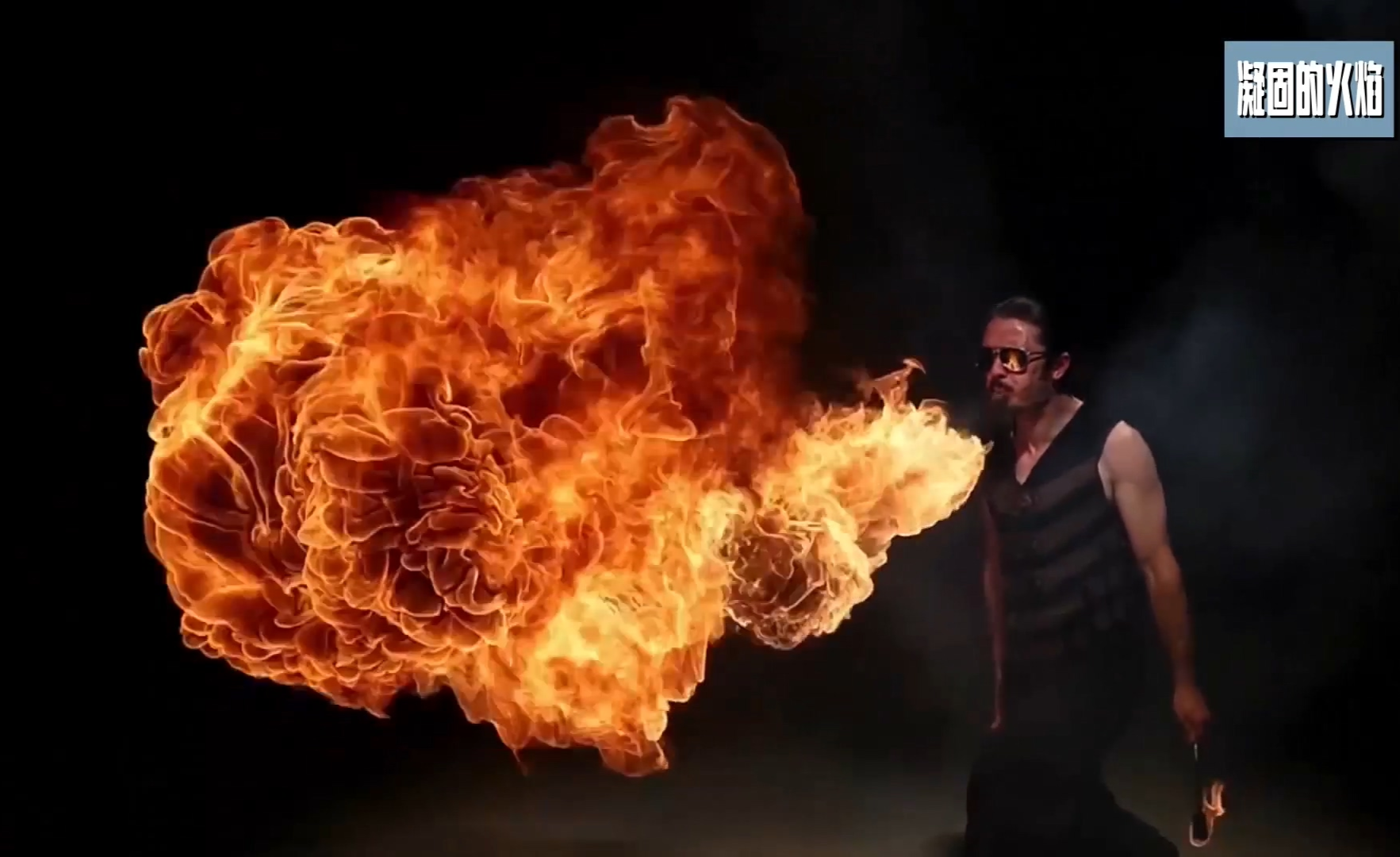 卫生卷纸的广告代言为何选中汪星人广告意向成了一部卷纸历史