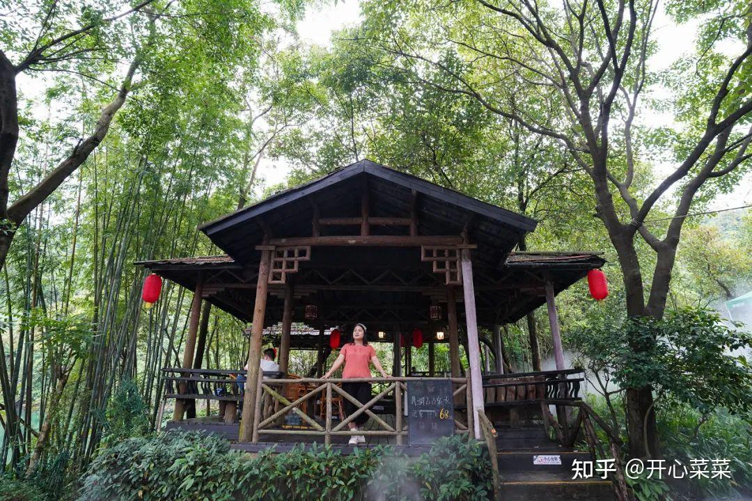 广东肇庆鼎湖山列广东四大名山之首,山上有只大鼎,鼎里有什么?