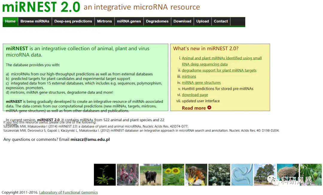 Mirnz 动植物多物种miRNA数据库 - 知乎