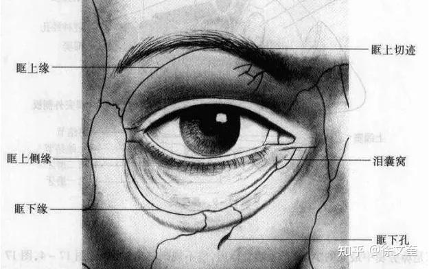 肿泡眼只是眶隔脂肪的锅没那么简单