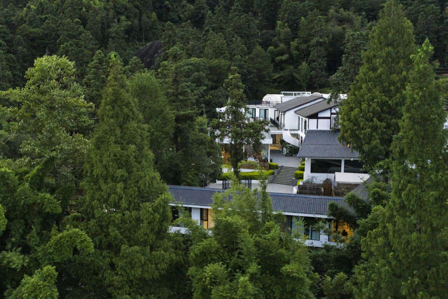 隐藏在森林里的民宿,太适合家庭度假