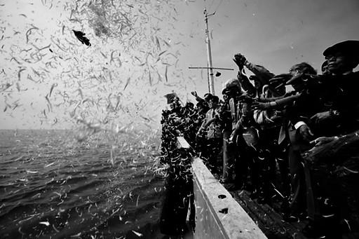 1949年1月27日的太平轮沉没事件