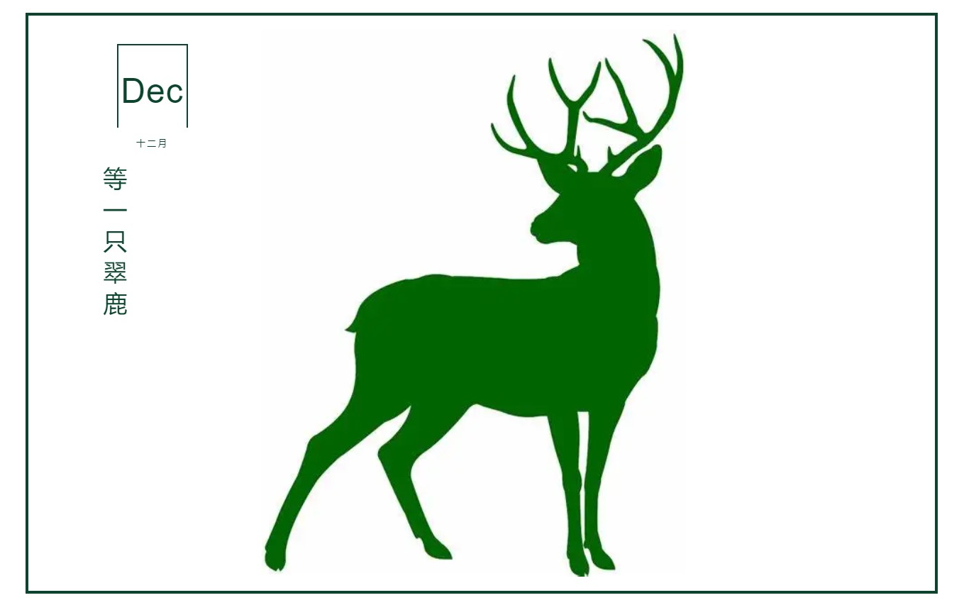 你与翠鹿的距离哈佛录取程序大揭秘