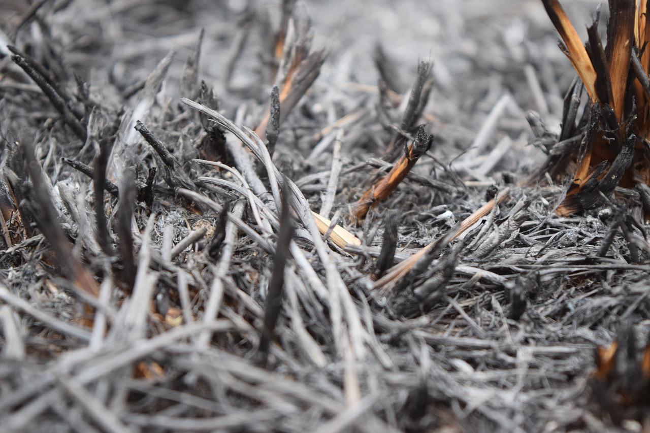 2. 每平米修复费用