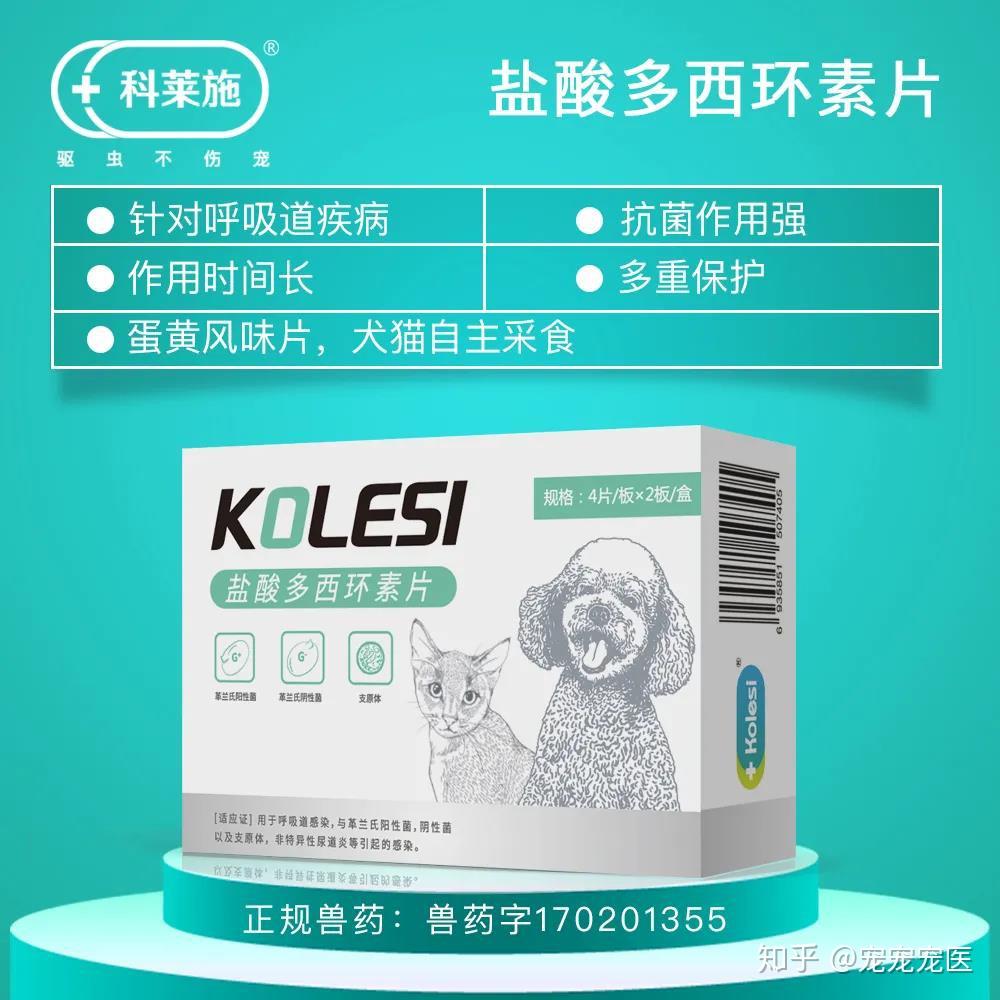 科普狗子换季感冒主人喂人药小心中毒