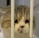 没时间做饭代餐推荐