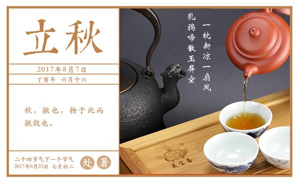 立秋养生之喝茶 知乎