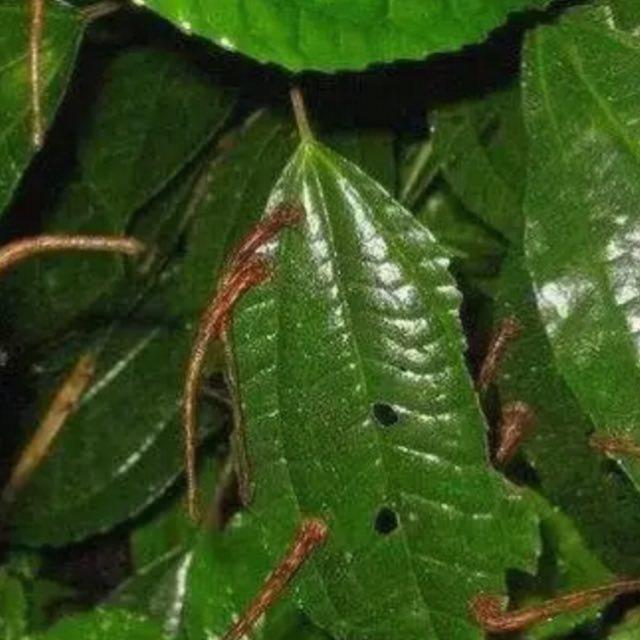 有没有哪些克苏鲁图片震撼你的心灵？