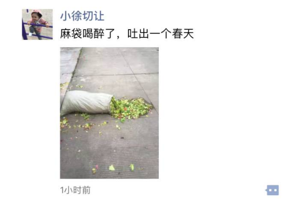 回乡养老文案沙雕,回乡养老文案沙雕句子