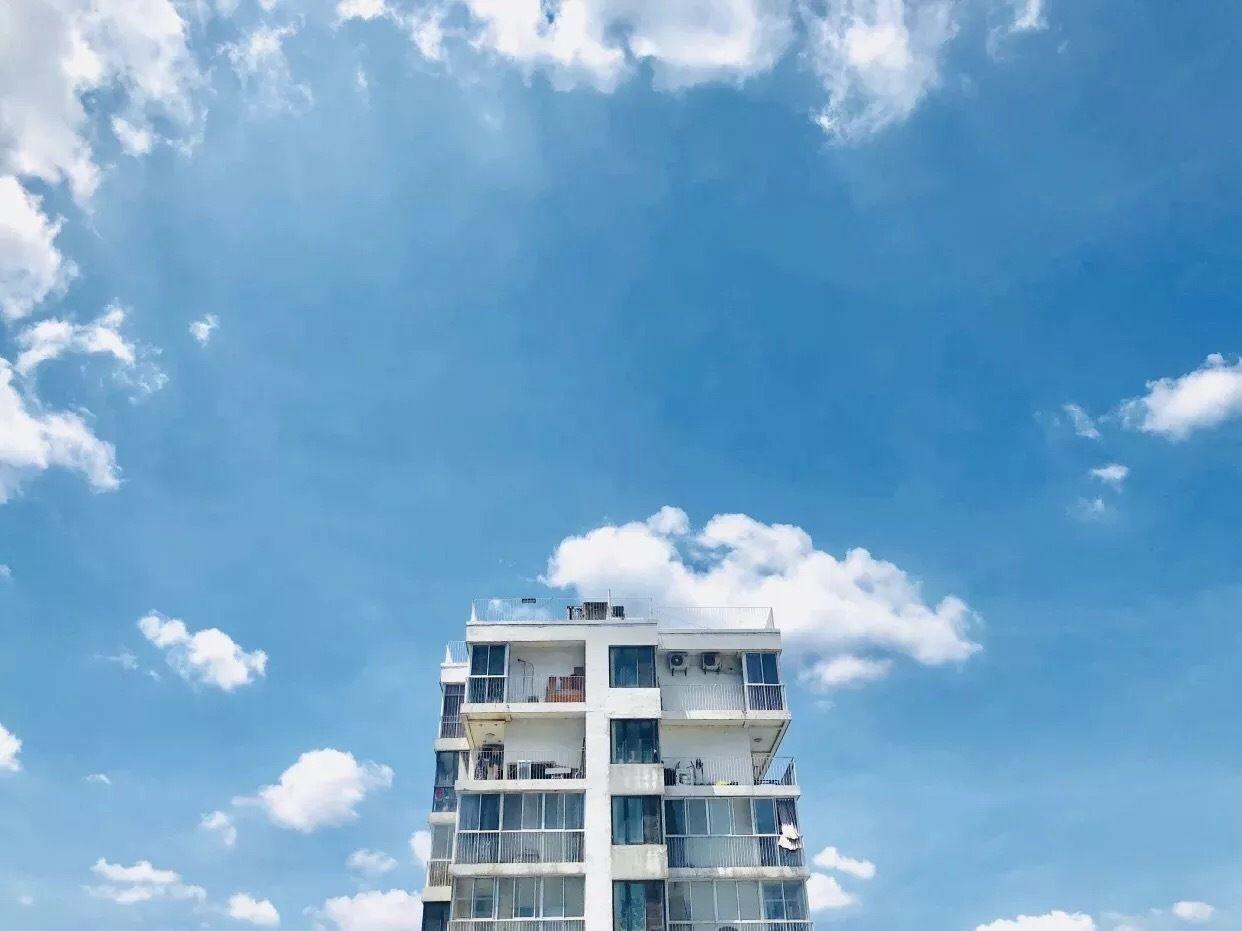 更新最近使用的绿色系壁纸 太爱绿色了!!(绿色壁纸ins风纯色系)