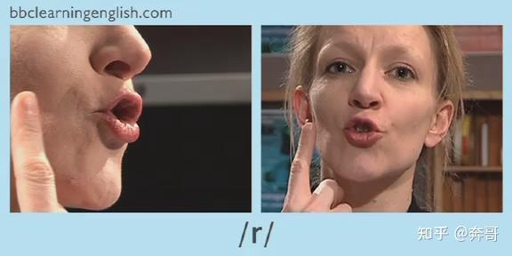 英语音标 /r/ 到底如何发?以前我觉得卷舌就完事,看了 Rachel 的视频后,发现是舌头中部抬起? - 知乎