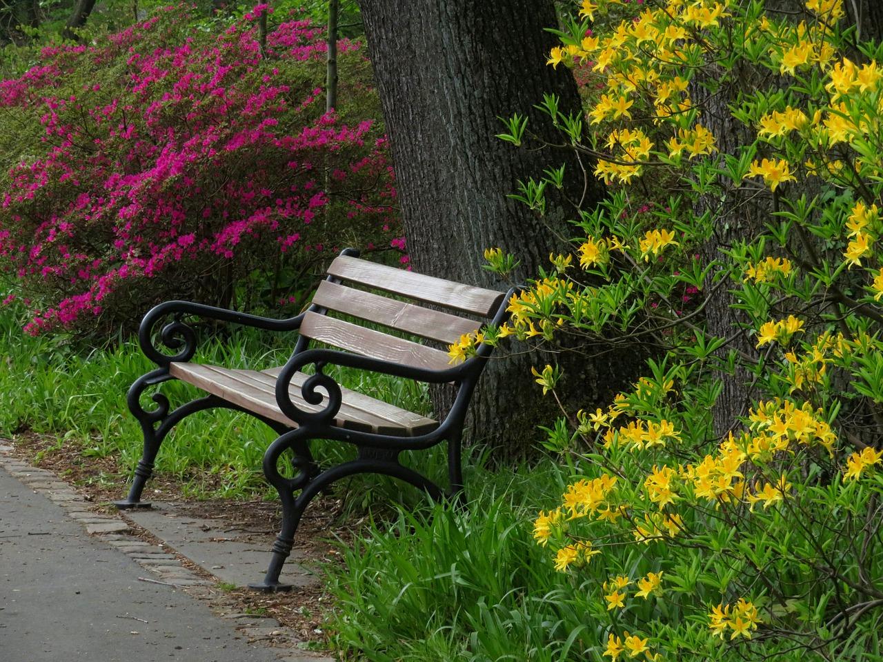 4. 翠谷区域分析