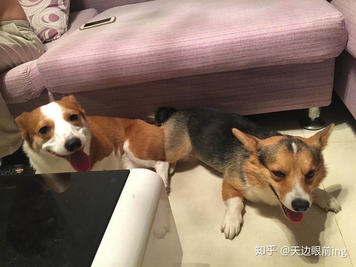 人在江湖飘关于外国人在公共宿舍上演人叠人那回事